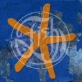 69. 13th Star (studio album)